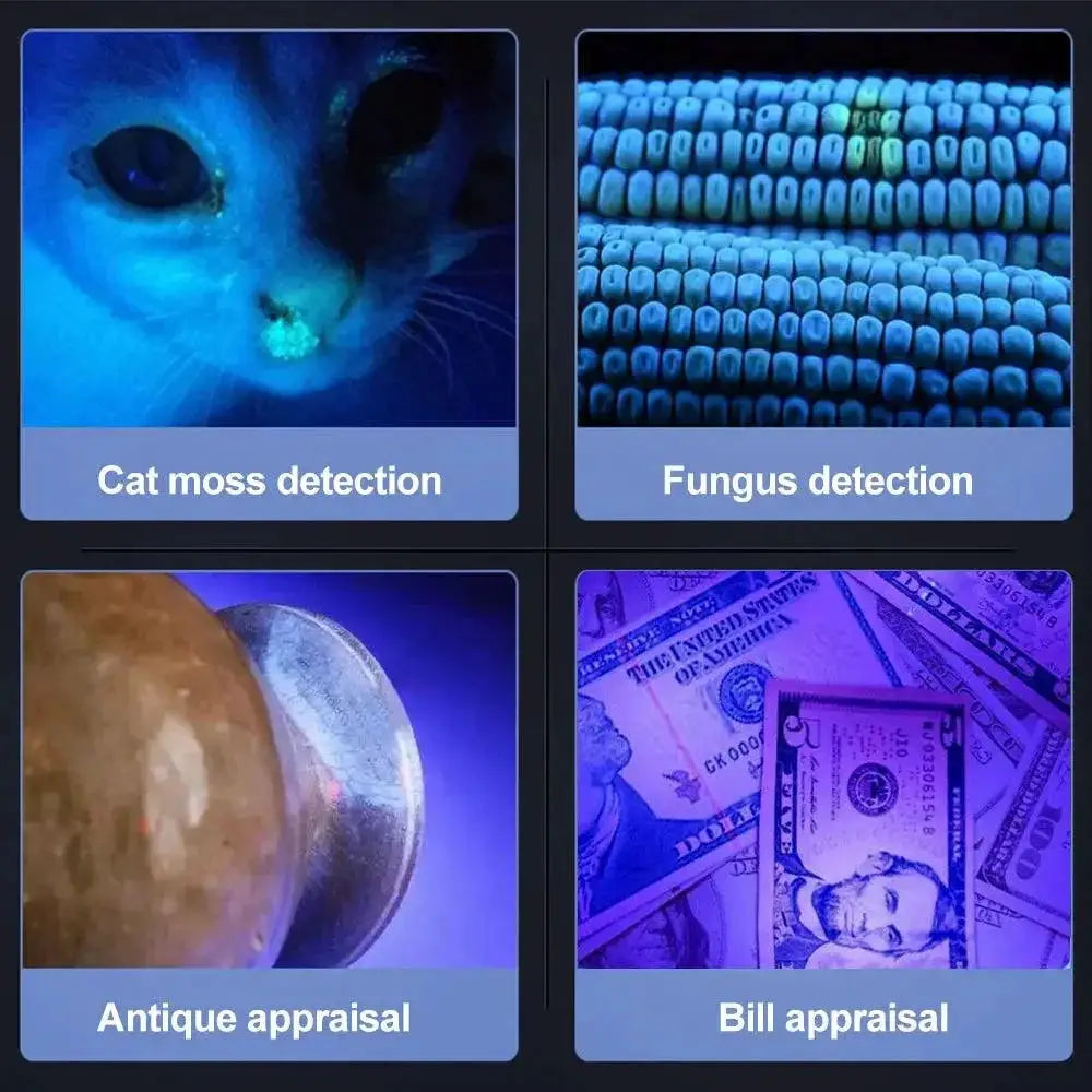 Mini UV Blacklight Flashlight For Pet Urine And Scorpion
