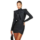 Polished Turtleneck Dress for Women