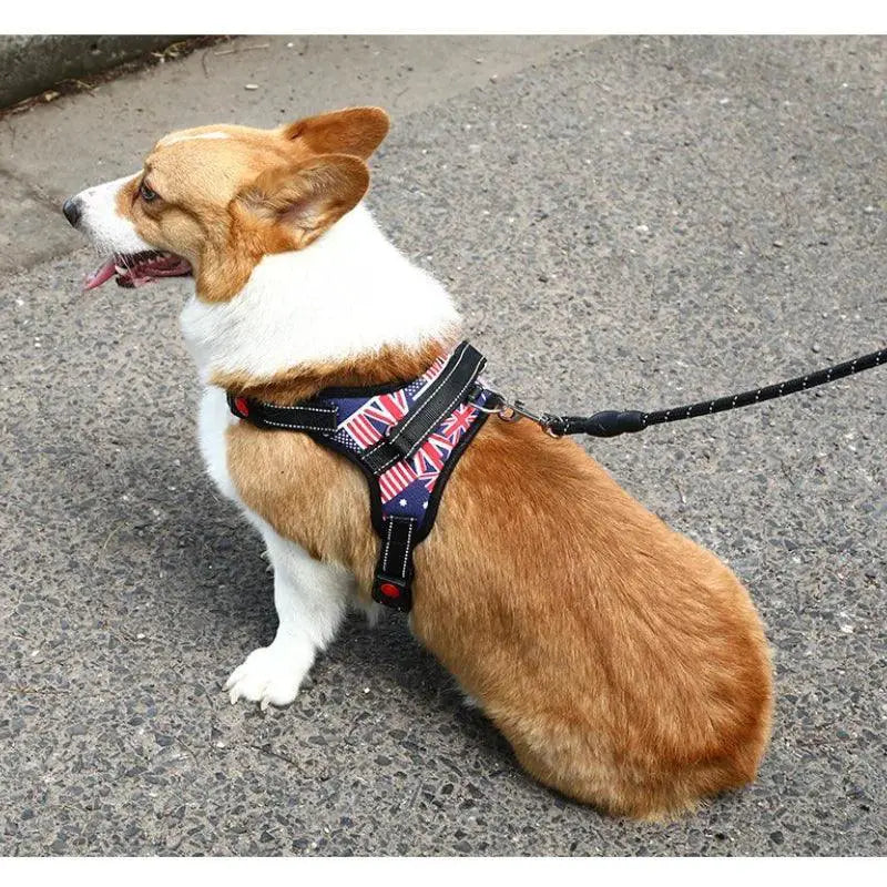 Nylon Dog Harness Heavy Duty Padded Adjustable for Huskies