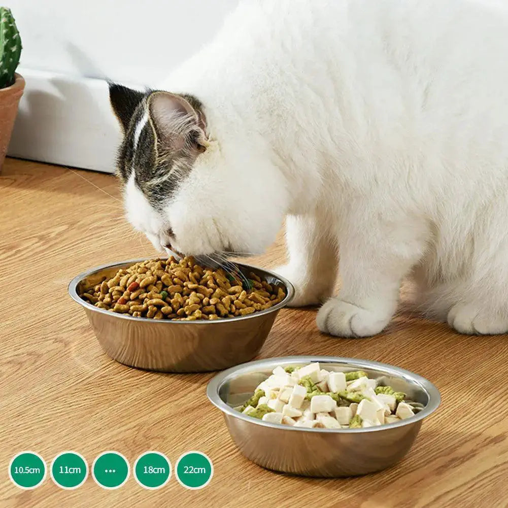 Stainless Steel Large Pet Feeder Bowl Durable and Safe