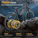 Aoovopro - Long Range E-Bike