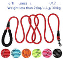 Safe Walking Leash for Golden Retrievers