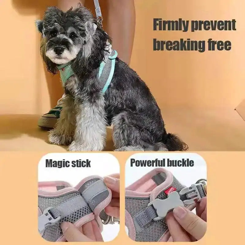 Madden Reflective Breathable Harness and Leash Set