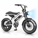 Qlife Spark D1 Fat Tire Electric Bike