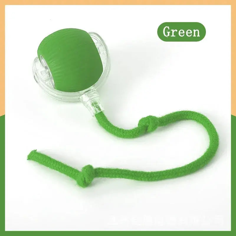 Interactive Auto Electric Rolling Ball Cat Toy for Cats