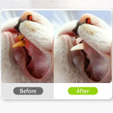 Cat Dental Rope Toy for Fresh Breath