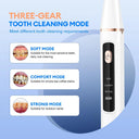 Ultrasonic Electric Dental Scaler Tartar Stain Remover LED Light