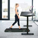 Two In One Portable Treadmill And Walking Pad For Desk Bluetooth