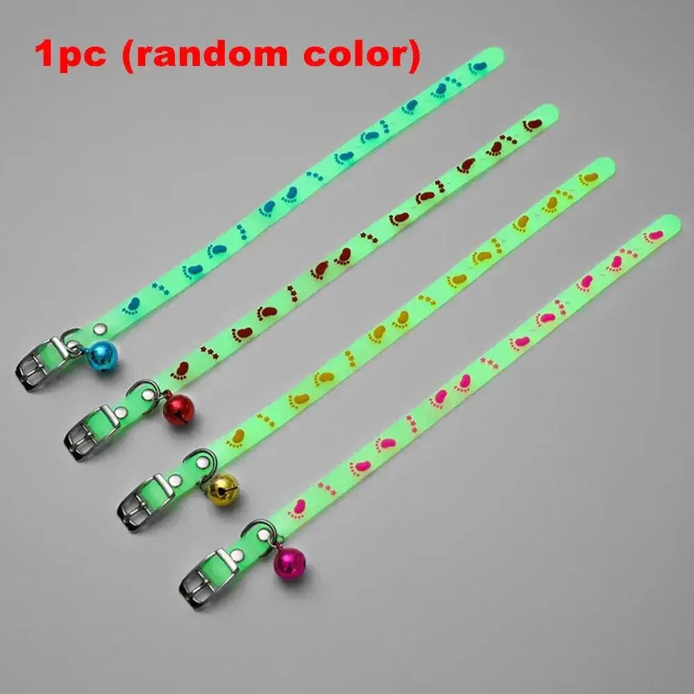 Glowing Cat Collar for Nighttime Safety — product view