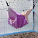 Cozy Winter Pet Hammock for Small Pets