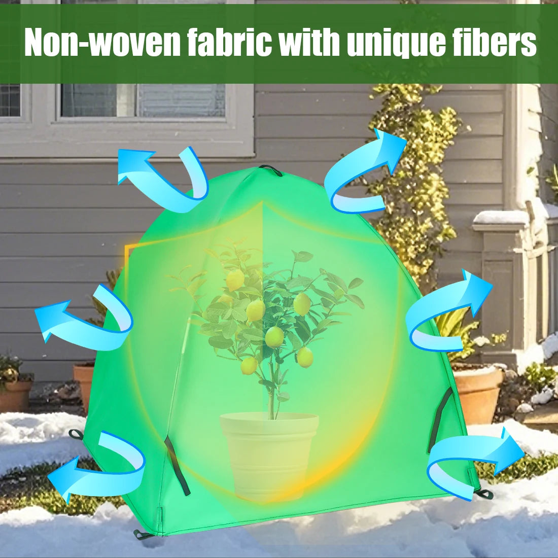 Frost Covers Plants