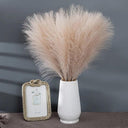 Elegant Boho Fluffy Pampas Grass for Weddings and Home Decor