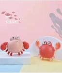 Kids Safe Dolphin Bath Toy for Water Fun