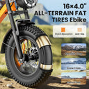Adult Fat Tire Electric Bicycle