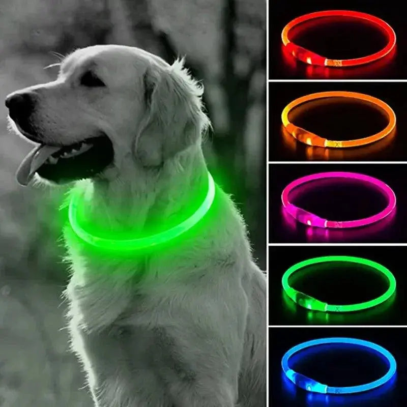 Glowing LED Dog Collar for High Visibility Night Safety