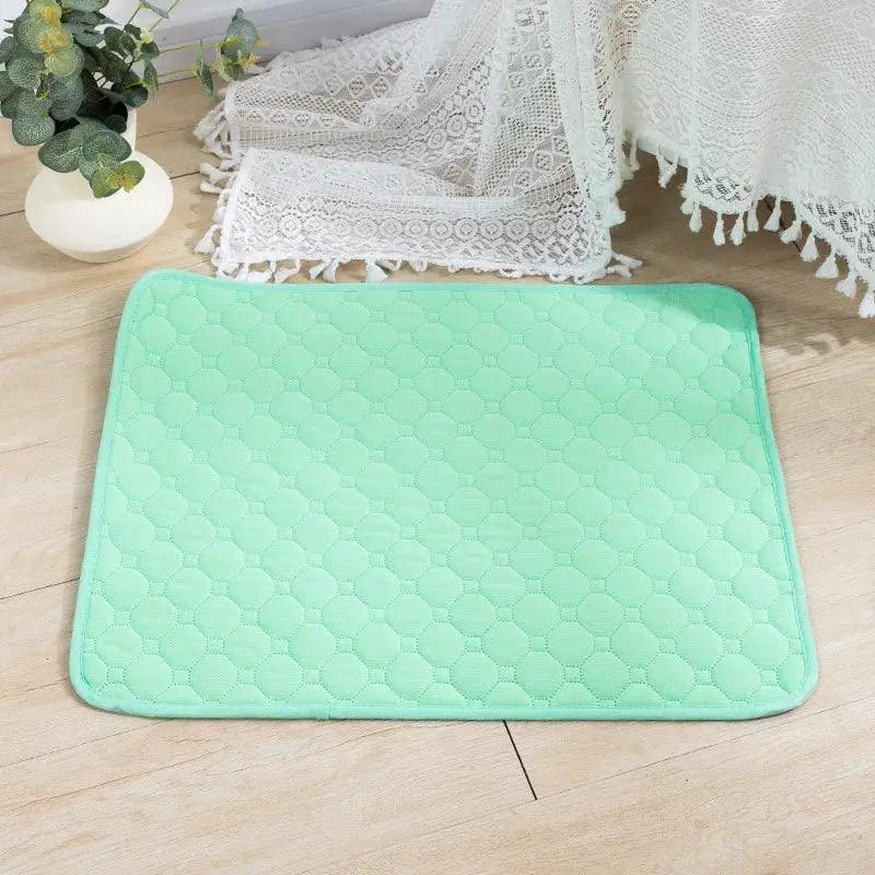 Durable Dog Pee Pad Blanket for Training — product view 8