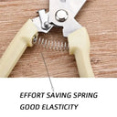 Precise Pruning Scissors for Florists