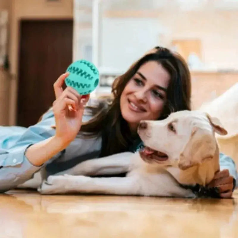 Eco Friendly Rubber Dog Dental Ball Chew Toy Snack Dispenser