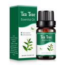 18 Flavors Essential Oils for Aroma Diffuser Home 10ml