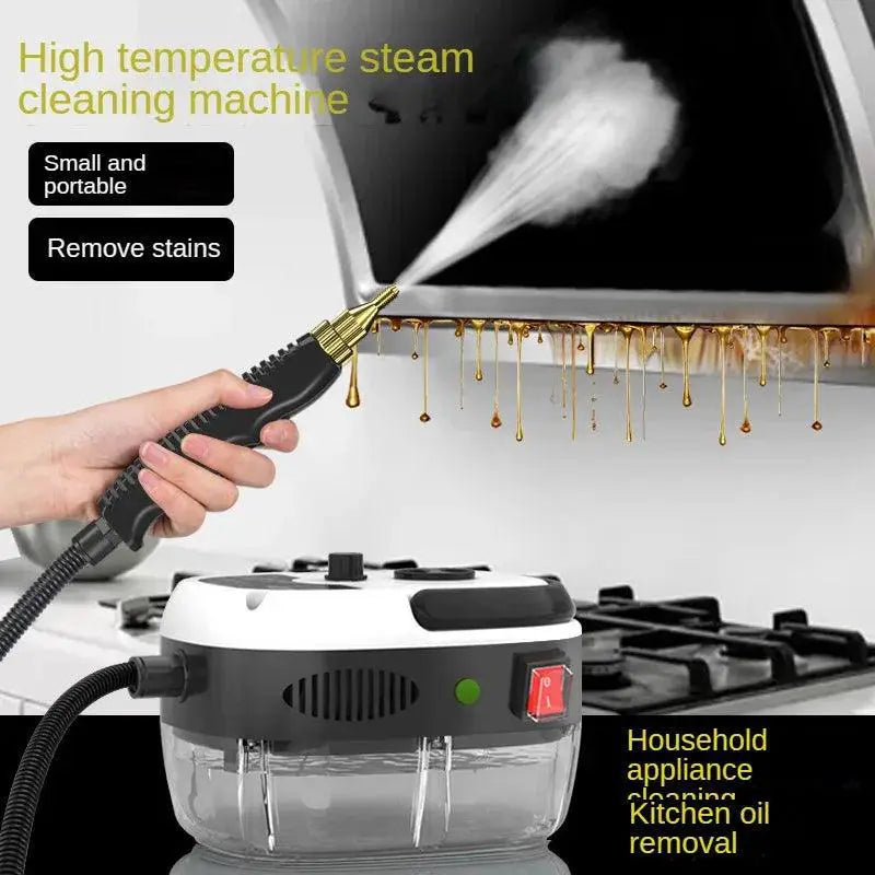 High Temperature Steam Cleaner for Home Car Sterilization