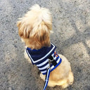Comfortable Dog Leash Set for Small Dogs