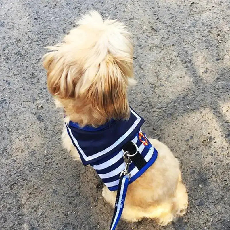Navy Style Soft Breathable Dog Leash Set For Small Dogs