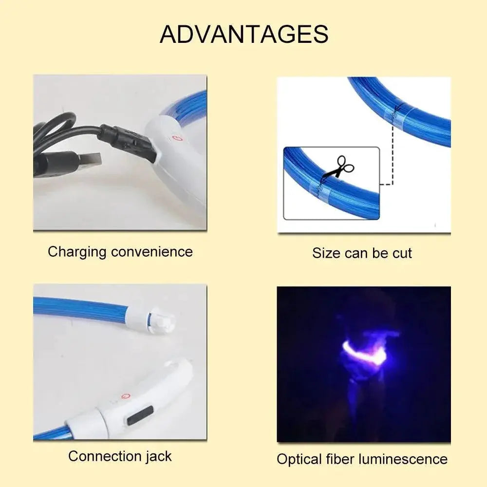 Glowing LED Dog Collar for High Visibility Night Safety