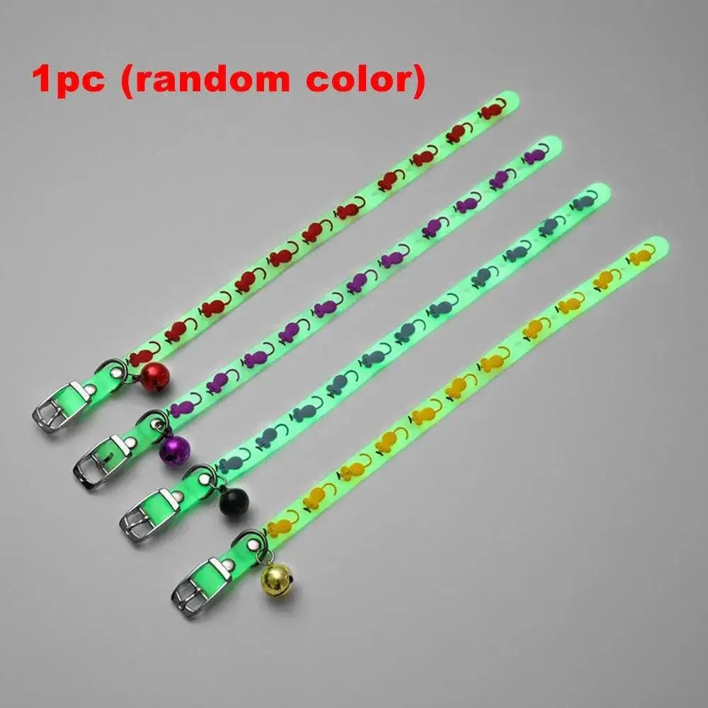 Glowing Cat Collar for Nighttime Safety — product view