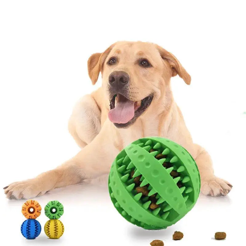 Silicone Bite Resistant Interactive Dog Ball for Small Dogs