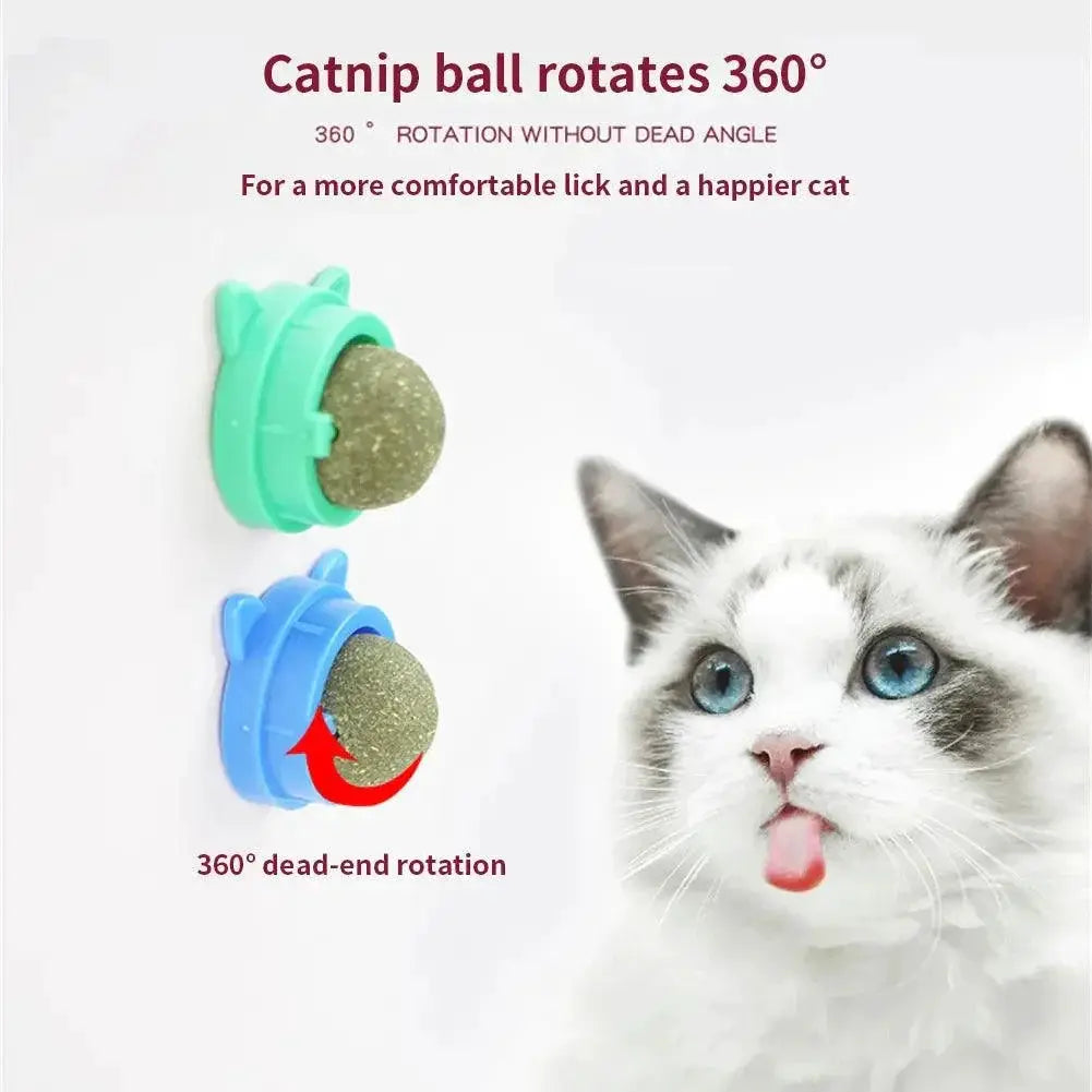 Catnip Wall Ball Cat Toy for Cats Dental Health for Kittens