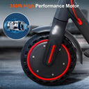 Ladped 350W Folding Electric Scooter