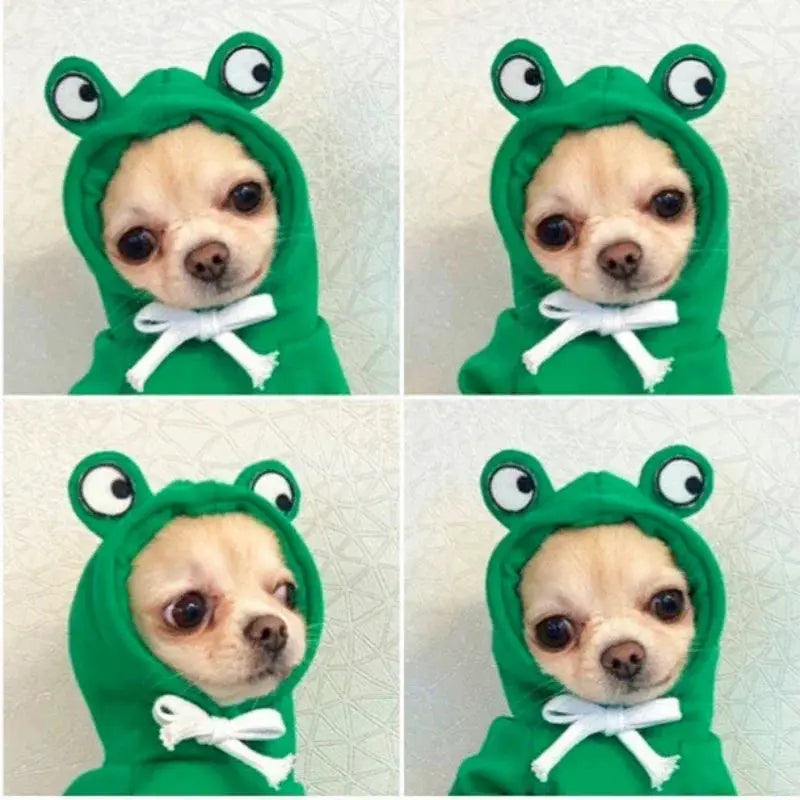 Cute Fruit Dog Clothes For Small Dogs Warm Fleece Hoodie