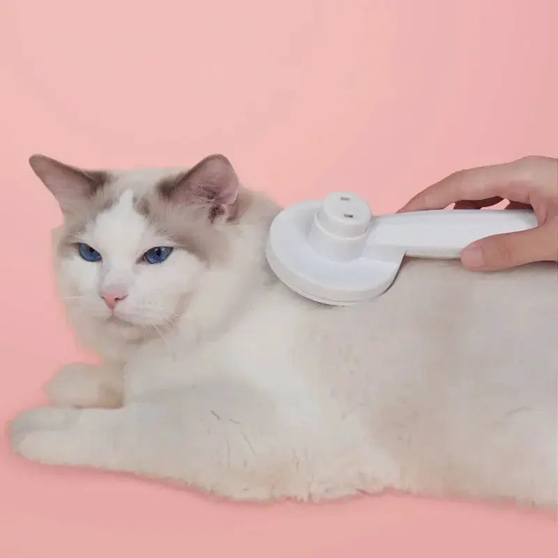Pet Cat Brush Comb For Hair Removal Dog Hair Grooming Tool