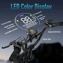 URLIFE T5 Foldable Fat Tire E Bike