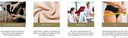 Body Shaper Girdle for Posture Support