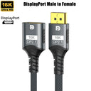 DisplayPort Extender Male
