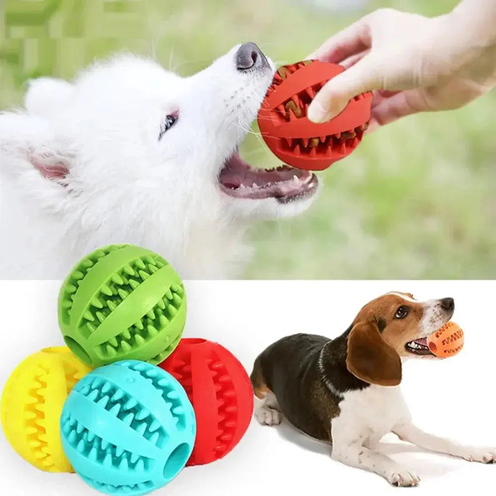 Interactive Rubber Dog Toy For Dental Health And IQ Training