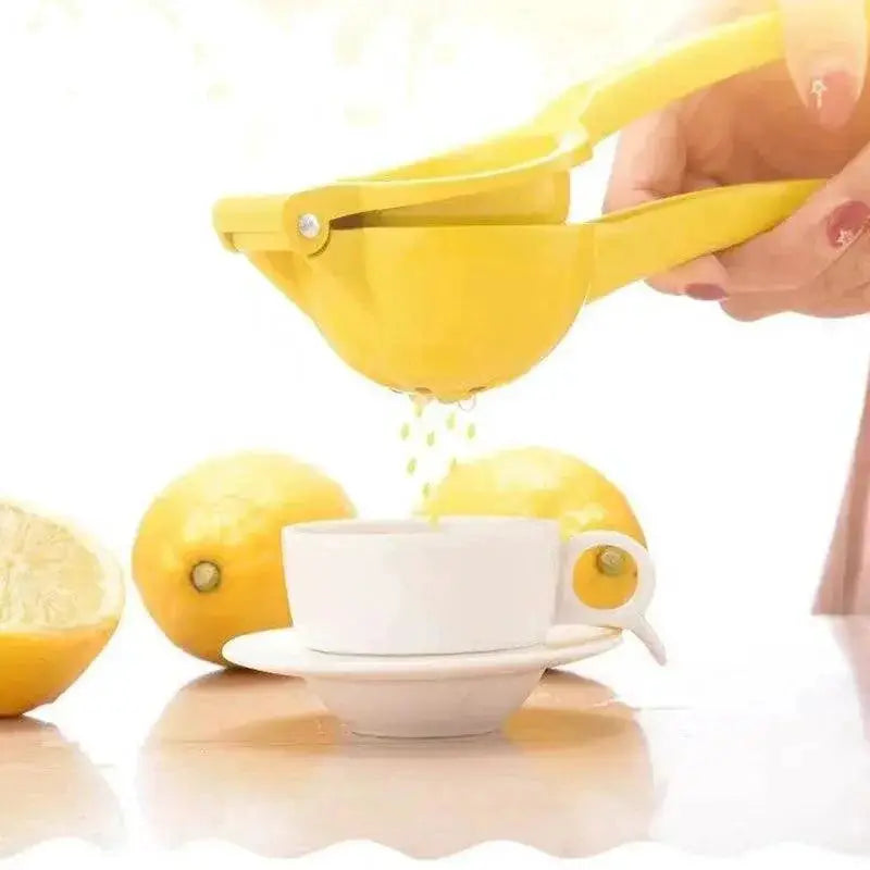 Portable Aluminum Lemon Squeezer And Mini Blender Kit Set