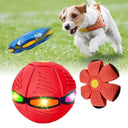 Dog UFO Ball Enhances Interaction and Exercise for All Sizes