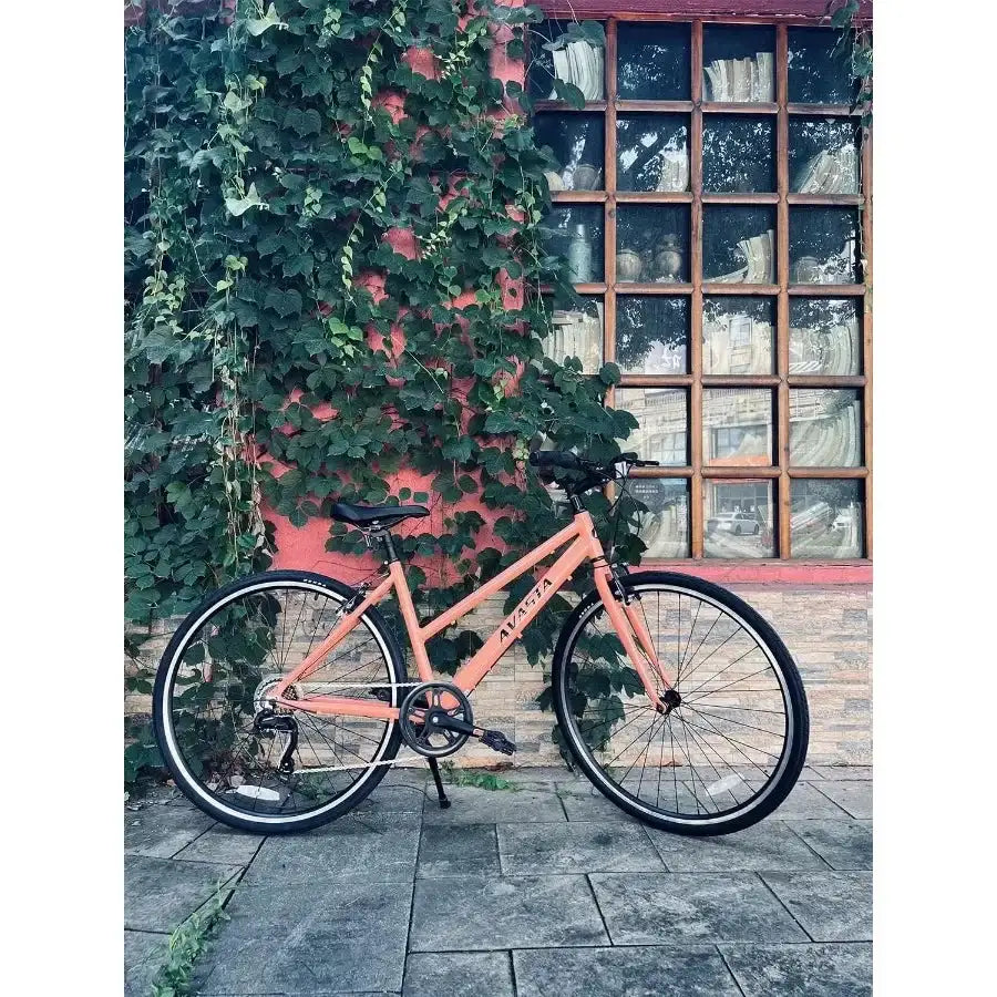 Populus Women's Lightweight Bicycle — product image 5