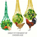 Chicken Feeder for Coop Foraging Boost