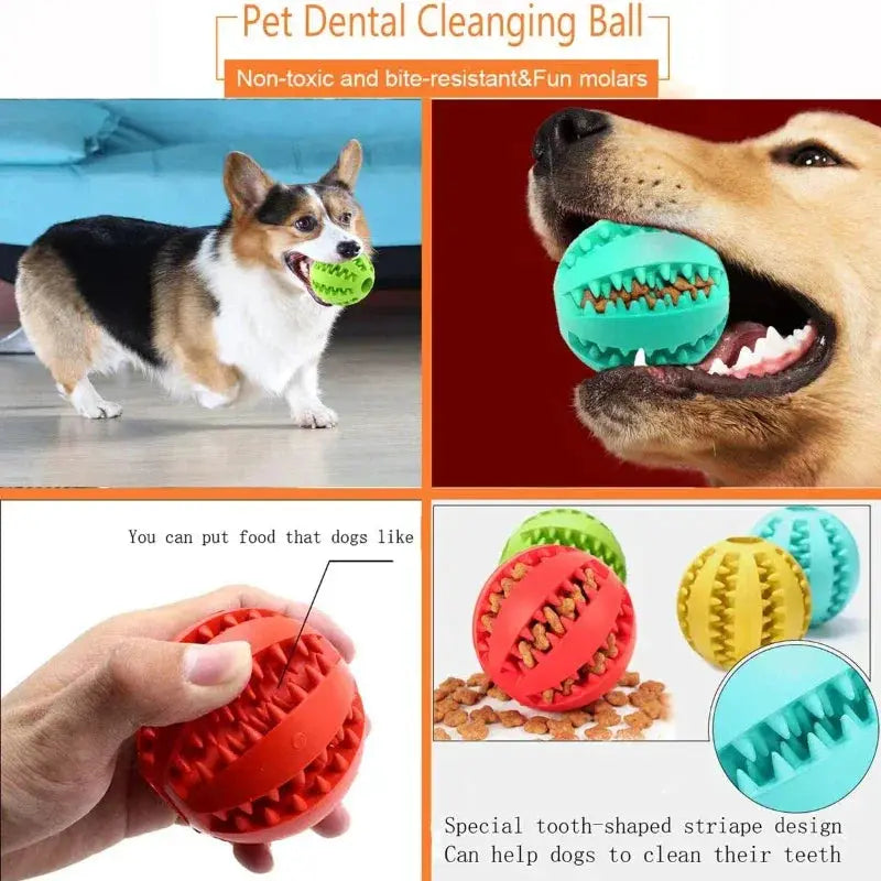 Interactive Rubber Dog Toy Ball For Chewing And Fun