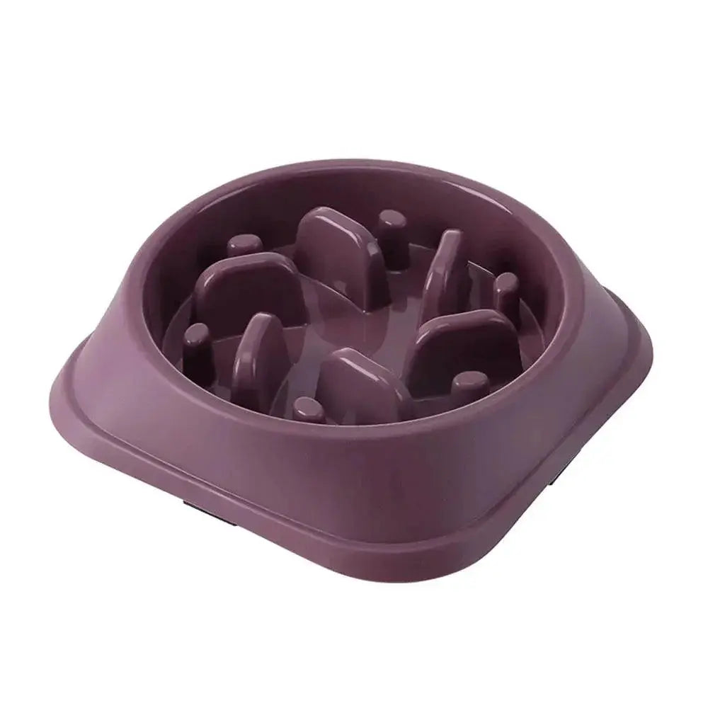 Slow Eating Feeder Bowl for Small Pets — product view 15