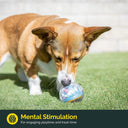 Pet Zone IQ Treat Ball Dog Toy 3 Inch Puzzle Feeder Fun