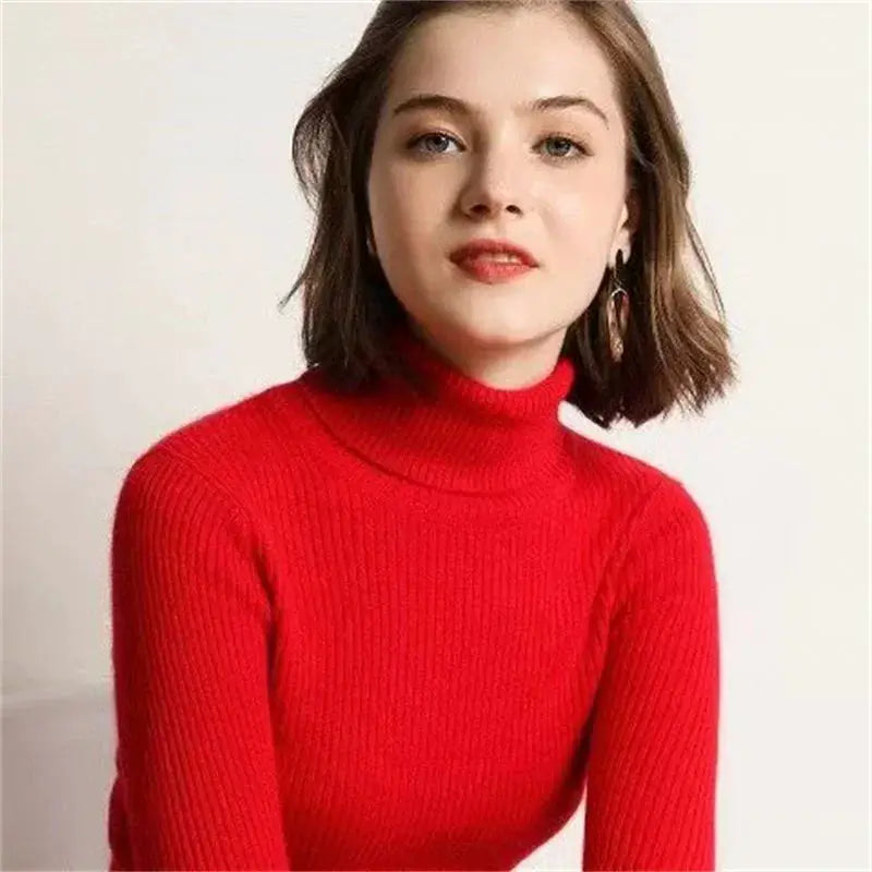 Women Turtleneck Sweater Autumn Winter Slim Pullover Jumper