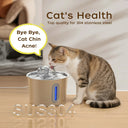 Automatic Cat Water Fountain 74oz Stainless
