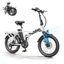 Qlife - Foldable Inch Fat E-Bike