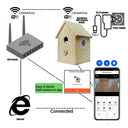 Real-Time Bird Watching Nest Box Camera