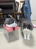 JIAERDI Lolita Plush Cute Cat Bag Women Harajuku Fur Bag