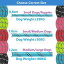 Strong Leashes for Dogs with Soft Handle and Reinforced Design